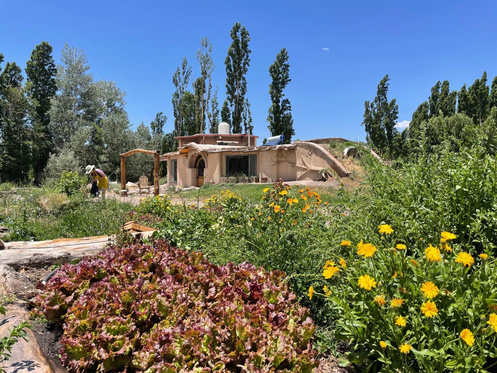 Hotel La Comarca Del Jarillal à Las Flores  Extérieur photo